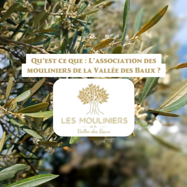 À quel endroit faire un atelier culinaire avec recettes traditionnelles et utilisation de produits locaux de qualité à Les baux de Provence proche de saint Rémy de Provence