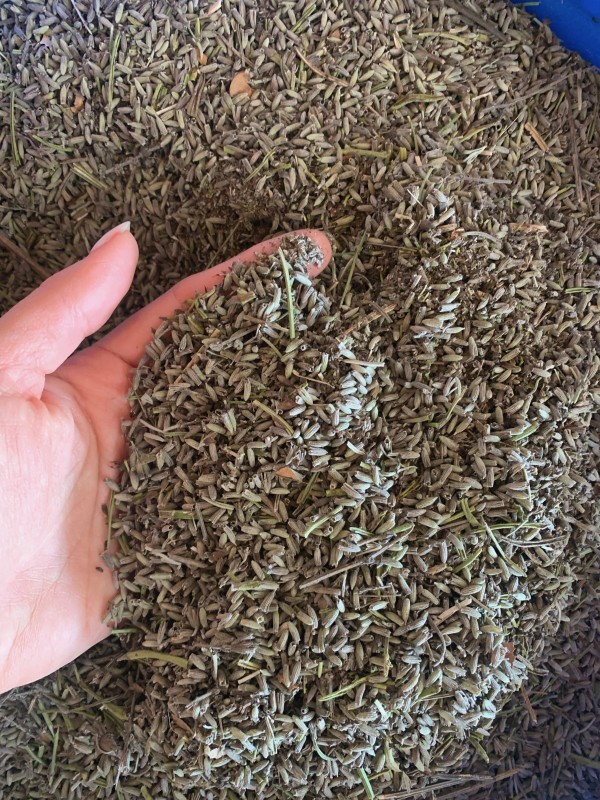 Stockage de notre lavande provençale