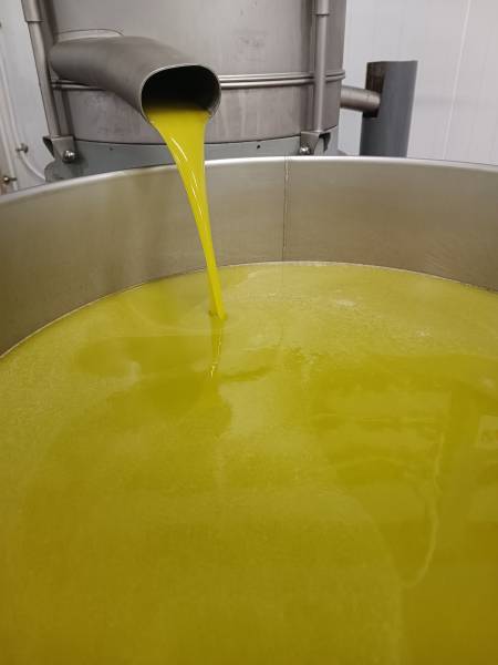 Les premières gouttes de notre or vert ont coulé au Moulin de la Coquille !