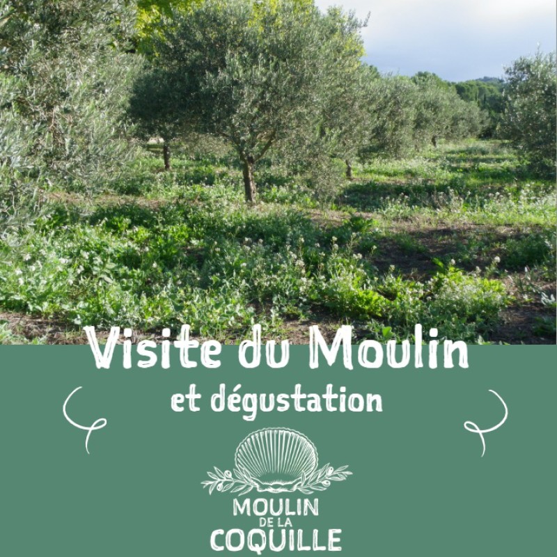 Visite du Moulin de la Coquille : découvrez notre savoir‑faire de l’olivier à l’huile