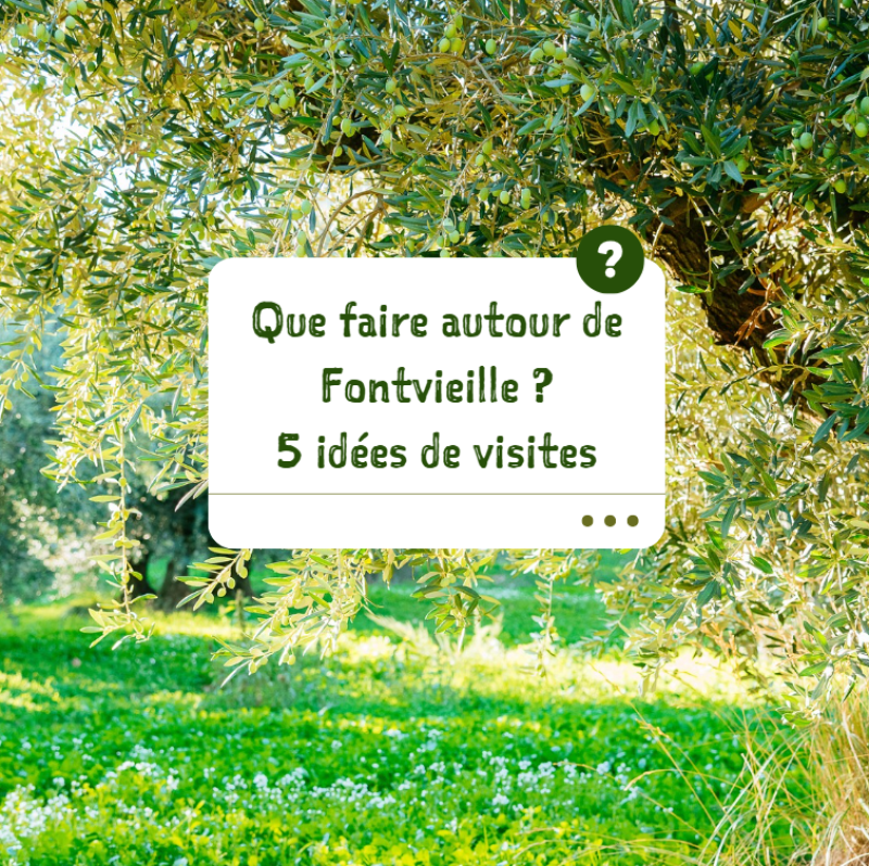 5 idées de visite autour de Fontvieille