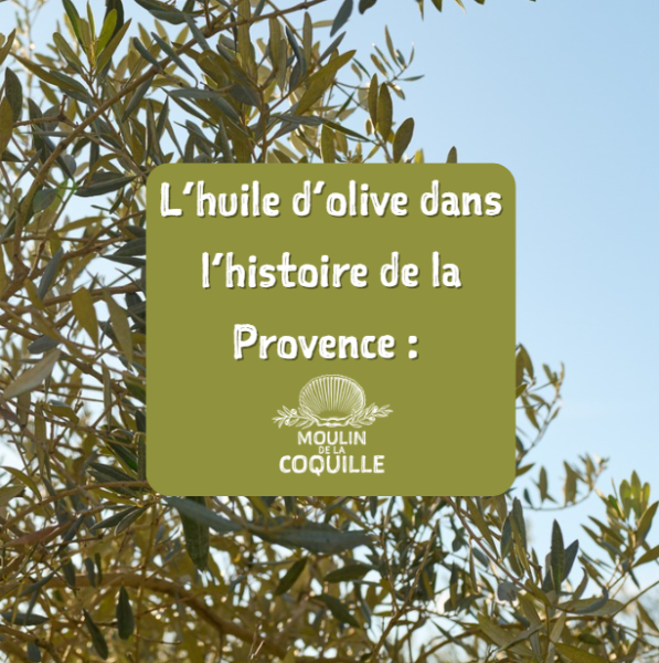L’huile d’olive dans l’histoire de la Provence : des origines antiques à un patrimoine vivant