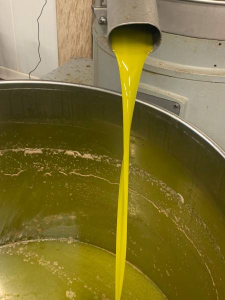 l'huile d'olive biologique et aop vallée des baux