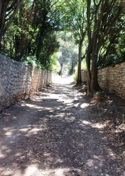 Les sentiers Fontvieille Moulin de Daudet
