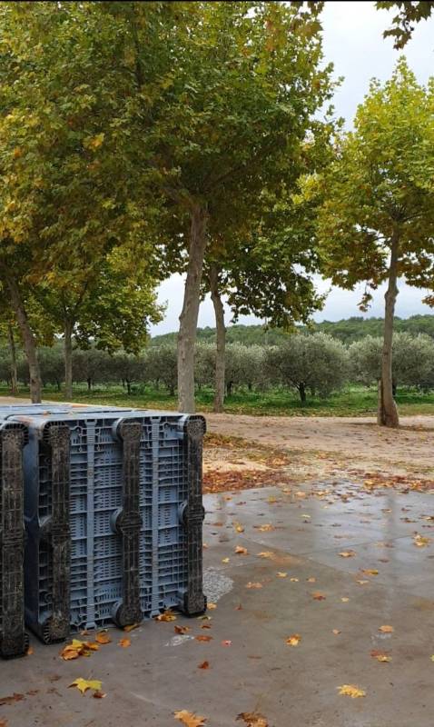 Le mois de septembre au moulin, entre nettoyage, rangement, préparation et visites